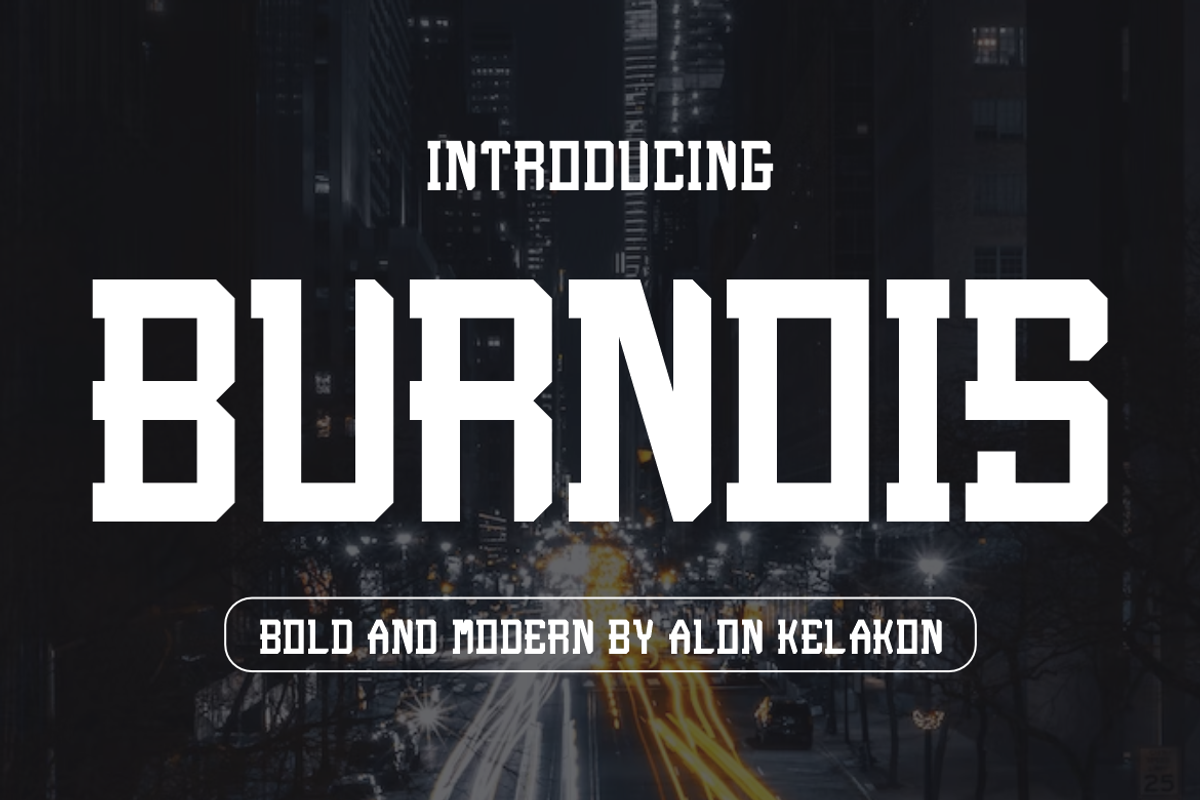Burnois, a Serif Font by alon kelakon (Photo 1 of 6)