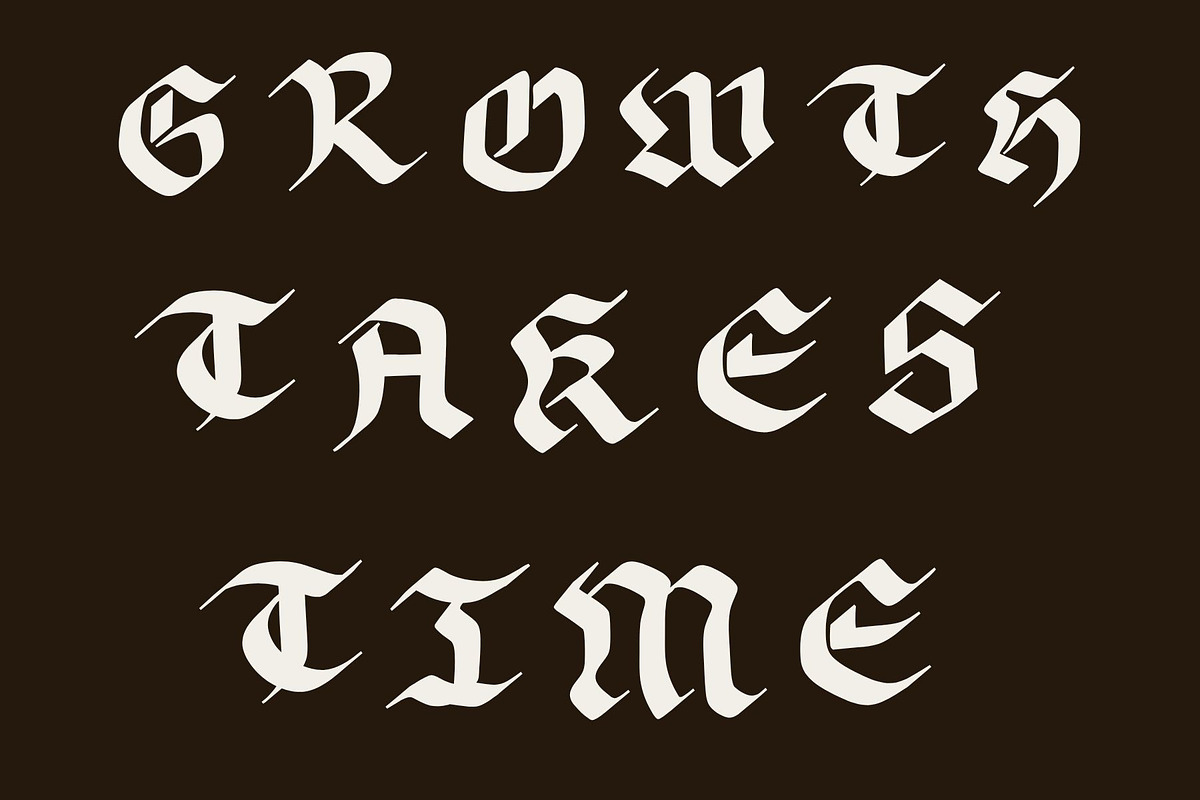 Happily Ever After Medieval Font, a Handwritten Font by Eryn Rose Design (Photo 14 of 18)