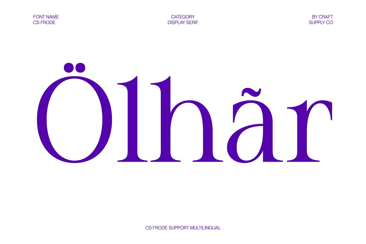 CS Frode – Modern Serif Font, a Serif Font by Craft Supply Co. (Photo 7 of 8)