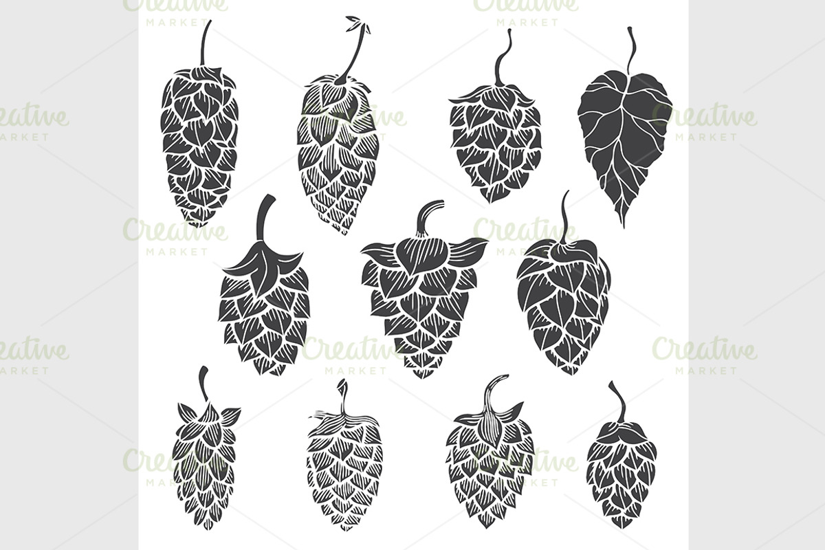Set of Hops plant, a Background Graphic by IllustrationArtShop