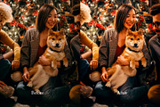 Christmas Lightroom Presets, a Preset Add-On by VividFrame (Thumbnail 8 of 9)