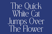 CS Agnella – Elegant Serif Font, a Serif Font by Craft Supply Co. (Thumbnail 2 of 8)