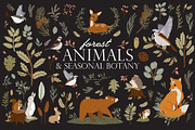 Forest Animals & Seasonal Botany, an Illustration by Ruslana Lubenets (Thumbnail 1 of 21)