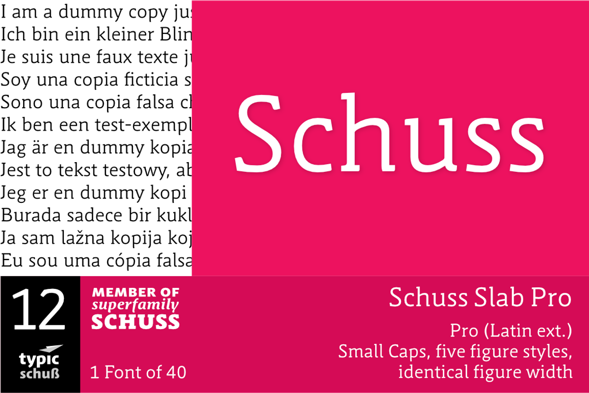 SchussSlabPro No.12 (1 Font)
