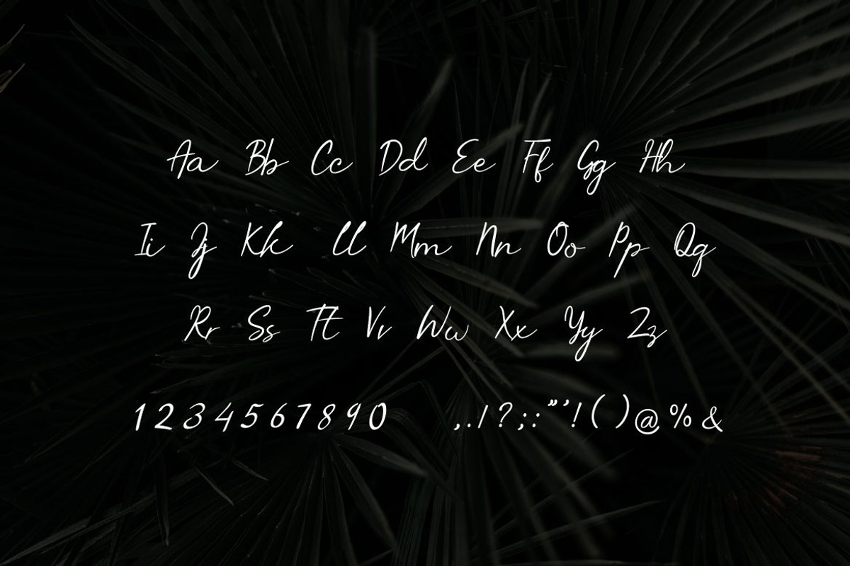 Serendipity Handwritten Font, a Handwritten Font by UICreative (Photo 5 of 5)