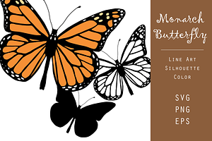 Monarch Butterfly Vector Graphic Set