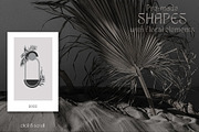 OBSCURED Black Floral collection, a Decorative Illustration by Anastezia Luneva (Thumbnail 5 of 8)