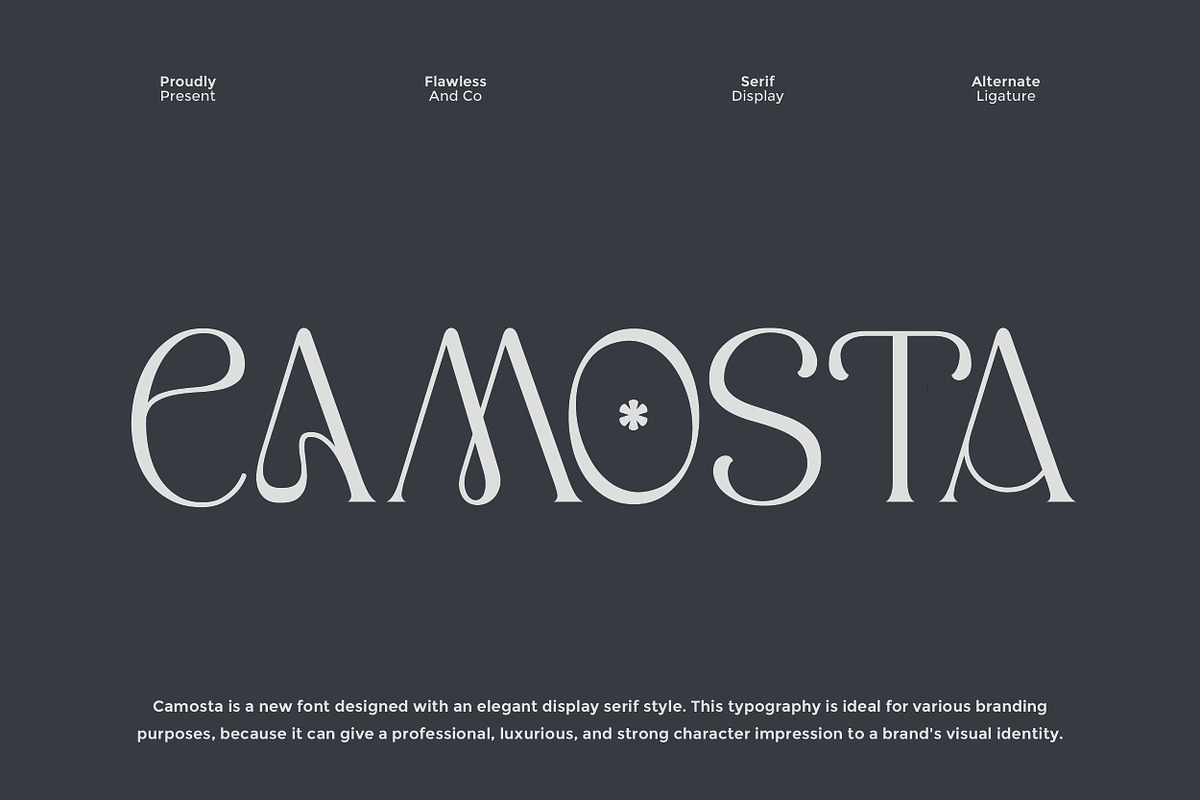 Camosta  Display Serif Font, a Font by Flawless And Co (Photo 1 of 10)