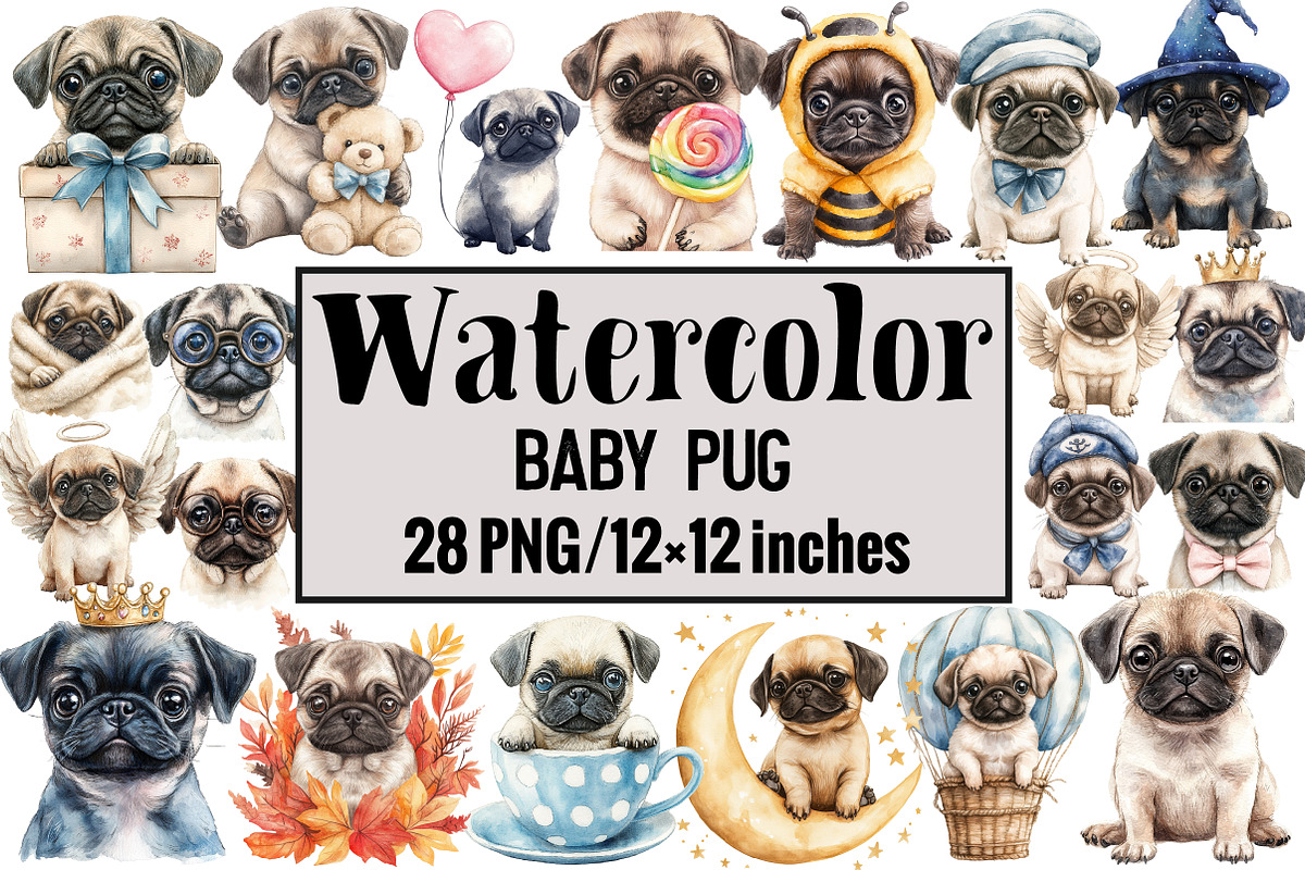 Baby Pug, an Illustration by Design Market (Photo 1 of 3)