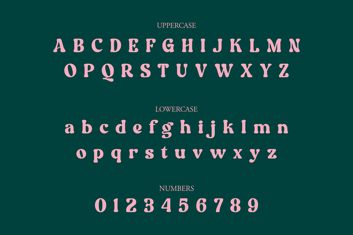 NCL Aekabih Muskey - Retro Groovy, a Serif Font by Enxyclo Studio (Photo 10 of 15)