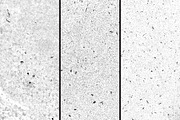 GSTC - Stone bench textures, a Texture Graphic by The Shop (Thumbnail 48 of 80)