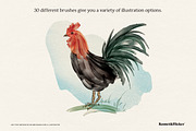 Vector Watercolor Brushes, a Brush Add-On by Komet & Flicker (Thumbnail 7 of 13)