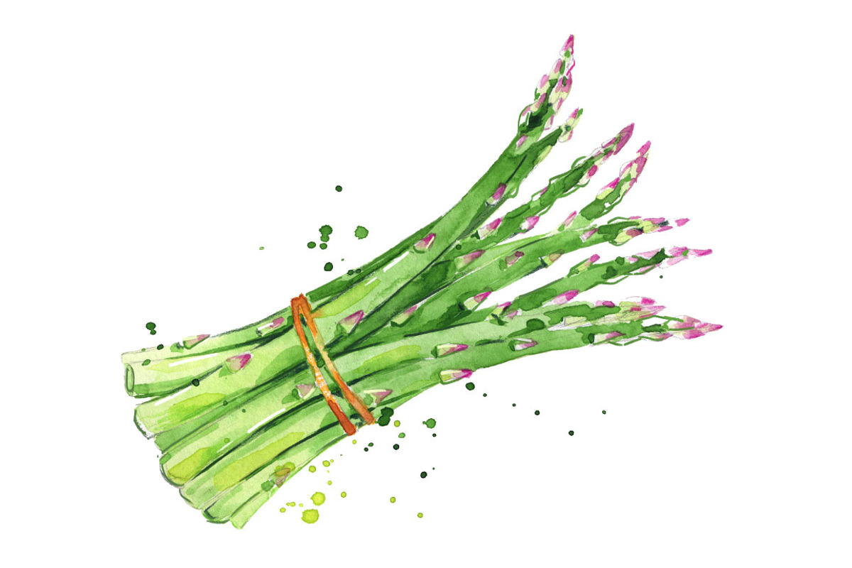 Selection of green foods, watercolor, a Food Illustration by Kamenuka (Photo 2 of 4)
