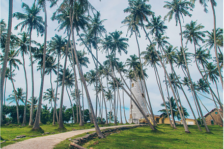 Sri Lanka is an island with a, a Nature Photo by yanadjana