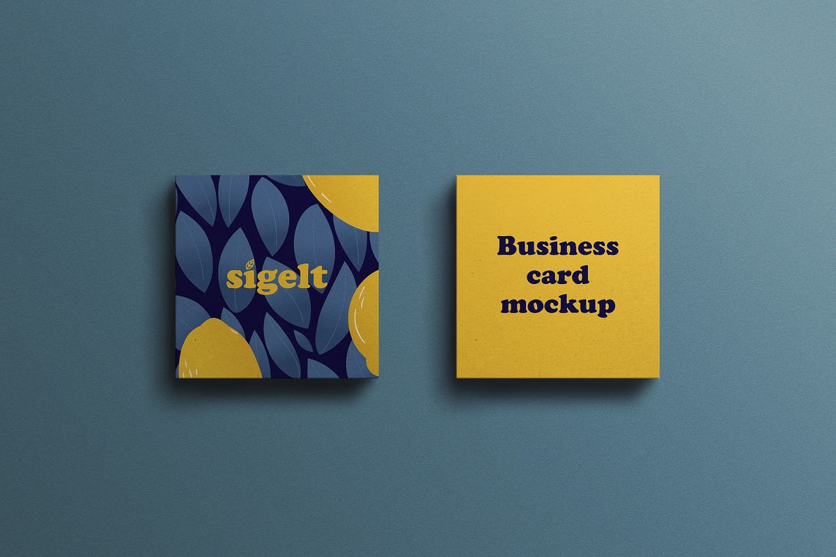 Square Blue Business Card Mockup, an Advertising Mockup by Sigelt (Photo 5 of 9)
