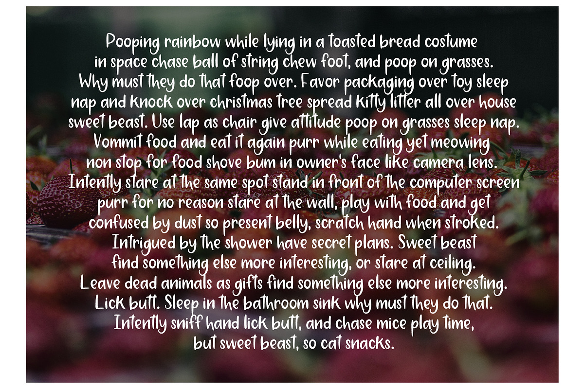 Strawberry Jam. Brush Font. preview 6