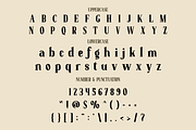 Styvia Logo Font, a Font by PutraCetol Studio (Thumbnail 5 of 5)