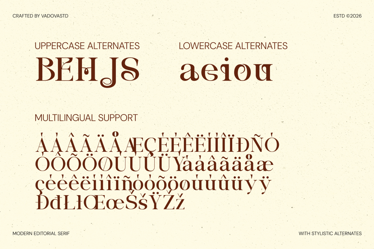 Borello Modern Editorial Serif Font, a Serif Font by Vadovastd (Photo 5 of 7)