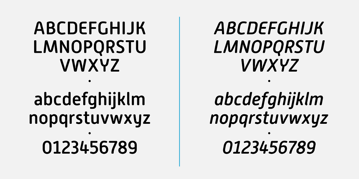Alwyn New Rounded, a Sans Serif Font by Moretype (Photo 5 of 5)