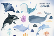Ocean & Under the sea animal clipart, an Animal Illustration by Watercolor Nastasia Art (Thumbnail 2 of 10)