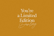 California Palms Fonts & Graphics, a Serif Font by Nicky Laatz (Thumbnail 14 of 48)