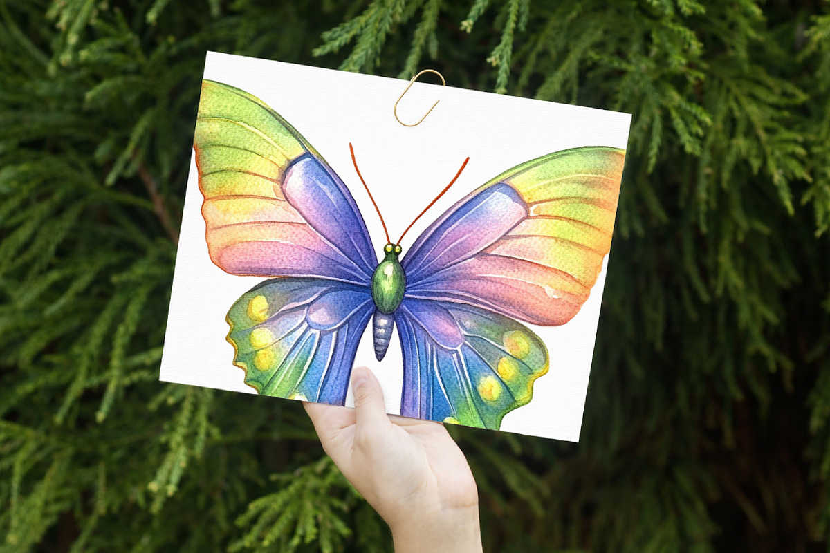 Watercolor Butterfly Clipart, an Illustration by Libby Wishes (Photo 3 of 7)