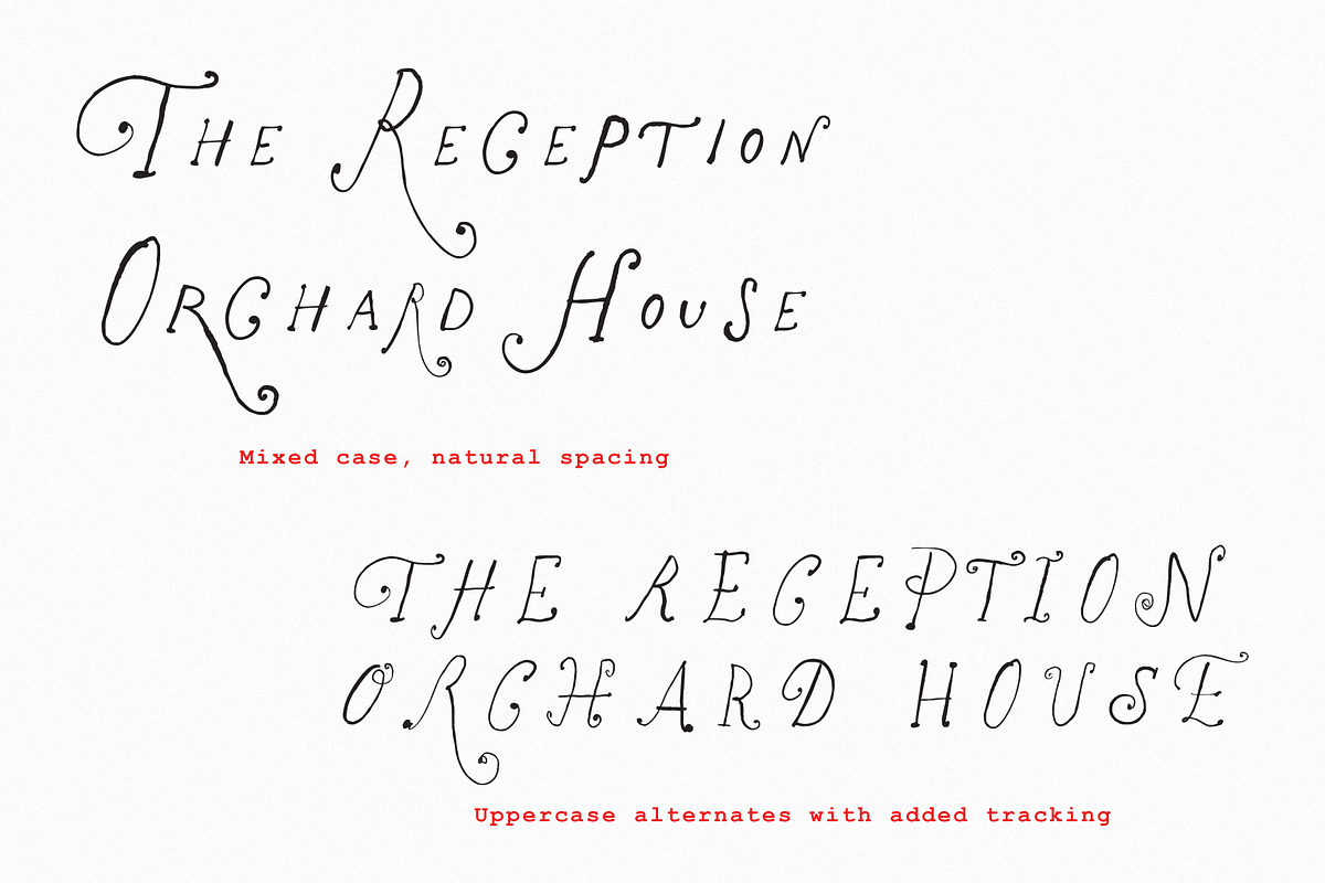 The Rose Atelier// Hand drawn Font, a Handwritten Font by PeachCreme (Photo 10 of 15)