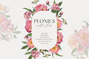 Peony watercolor clipart & patterns