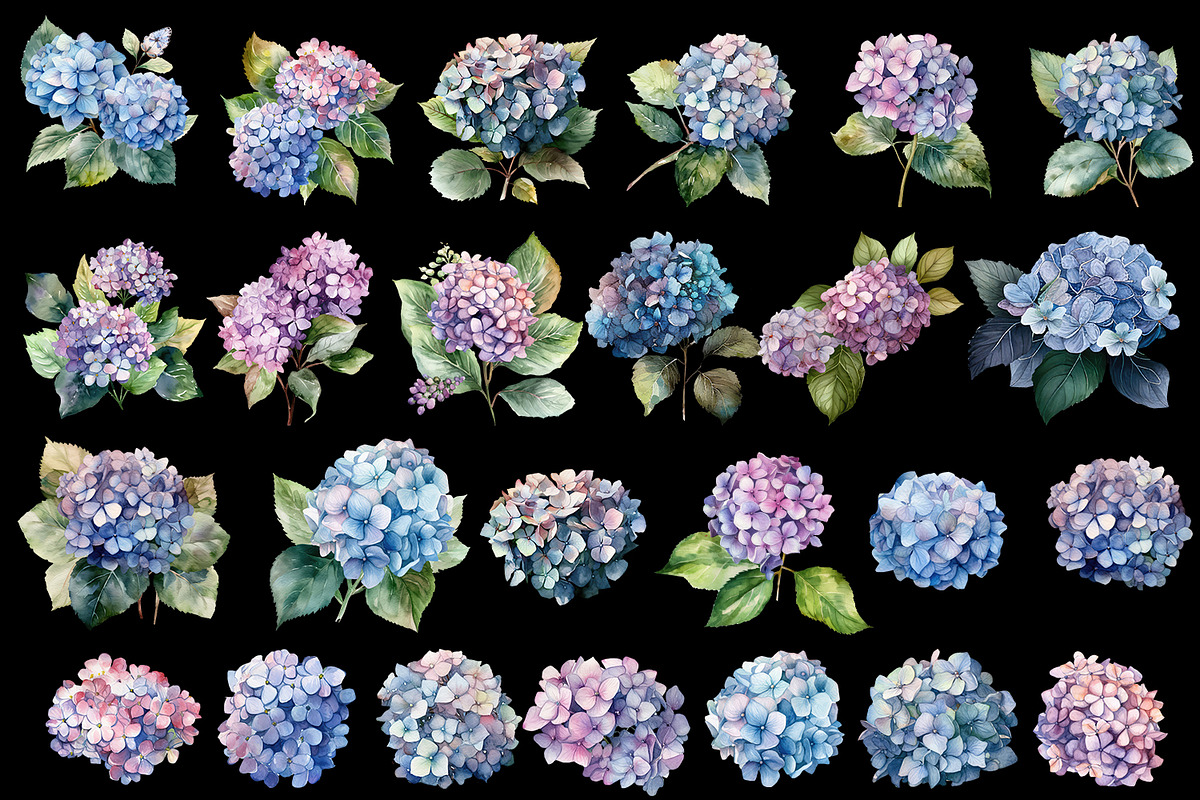 Hydrangea clipart, blue watercolor, a Decorative Illustration by ElenazlataArt (Photo 3 of 8)