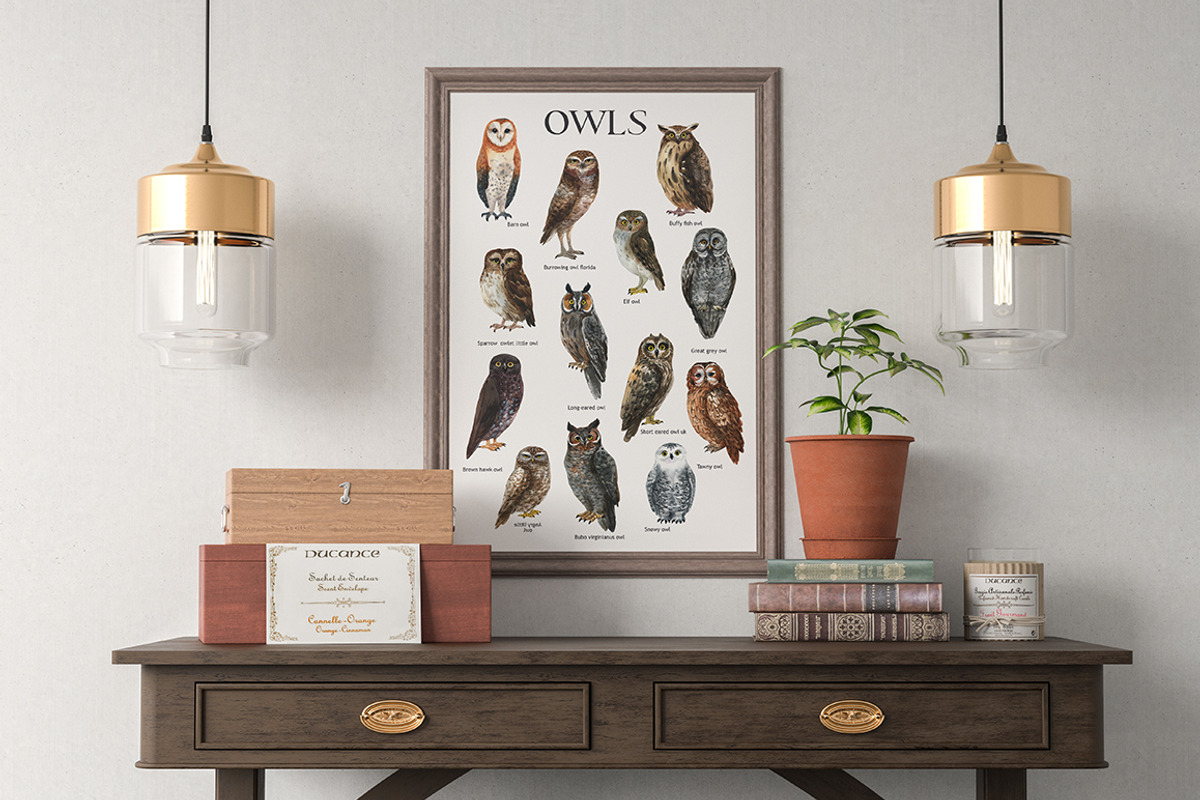 OWLS-watercolor illustrations, an Animal Illustration by KatBranchArt (Photo 3 of 5)