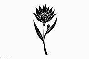 Floral Outline Vector Pack, an Illustration by yasushie (Thumbnail 11 of 21)