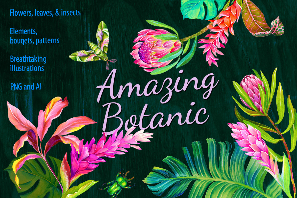 Amazing Botanic, an Illustration by RosaPompelmo (Photo 1 of 4)