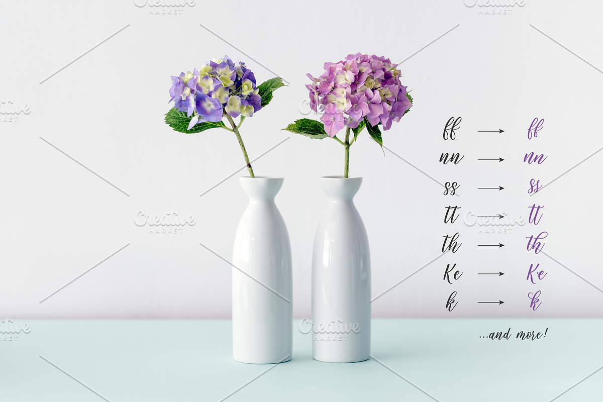Twindigo Script Font preview 4