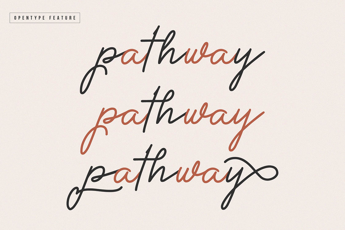 Methamory | Monoline Script Font, a Script Font by Denustudios (Photo 9 of 15)