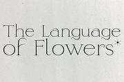 Heartstring, a Serif Font by Lost Letters Foundry (Thumbnail 5 of 5)