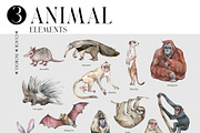 ANIMALS World Encyclopedia, an Animal Illustration by Anastezia Luneva (Thumbnail 6 of 14)