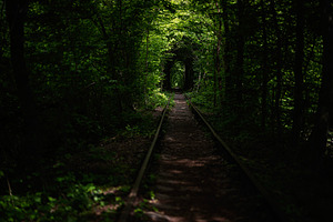 Tunnel of Love. Enchanted railway track passing through lush green forest in so, a Photo by AS photostudio