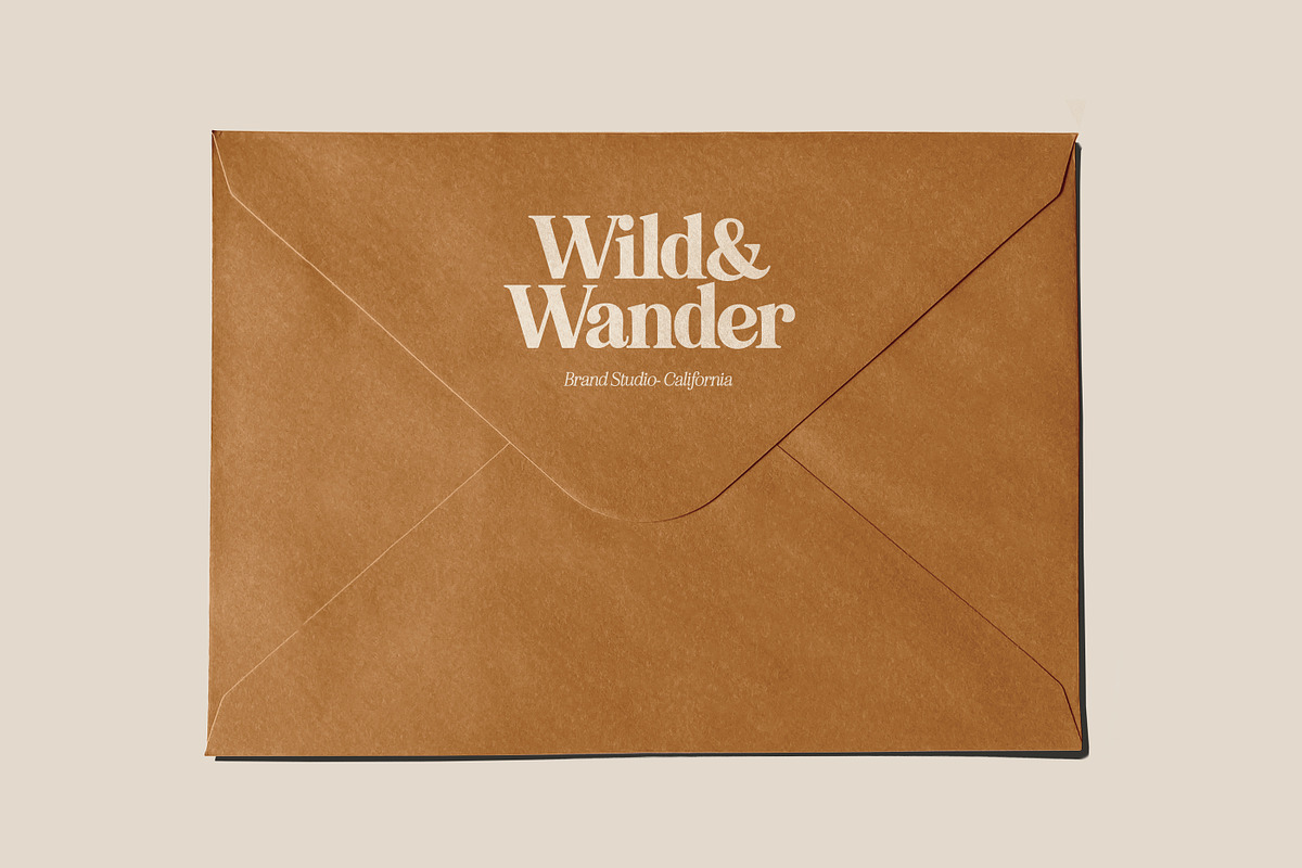 Eighties Comeback Serif (70 fonts), a Serif Font by Nicky Laatz (Photo 20 of 47)