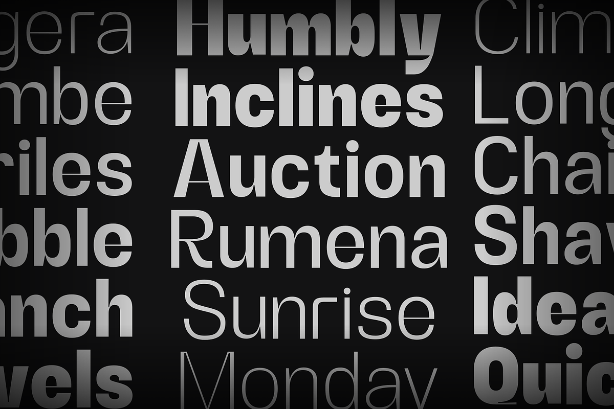 Alerio Sans, a Sans Serif Font by zeenesia (Photo 16 of 17)