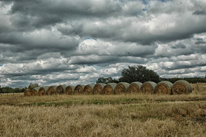 row of hay bales in a gloomy field