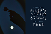 Brisalle Stylish Artistic Font, a Serif Font by Graphue (Thumbnail 3 of 9)