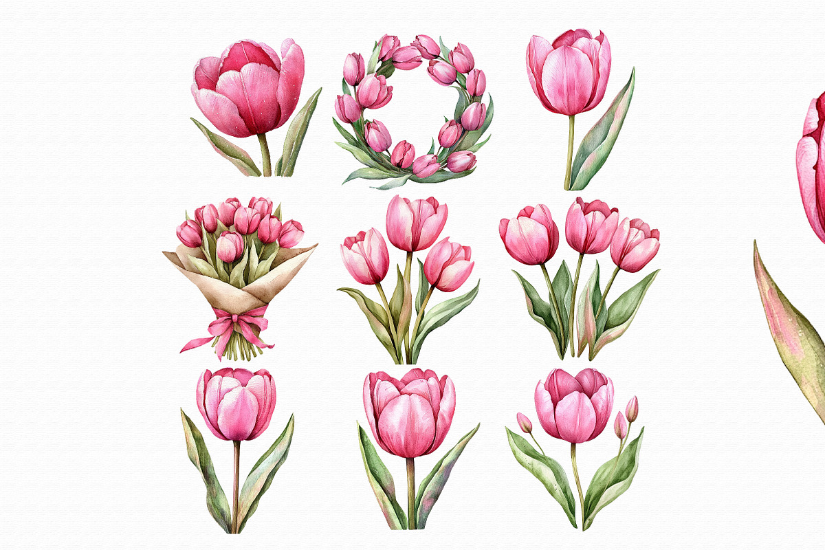 Watercolor Flowers Clipart, Tulip, an Illustration by Libby Wishes (Photo 2 of 4)