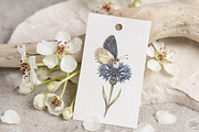 Vintage Botanical Butterflies, a Decorative Illustration by youtoview (Thumbnail 9 of 12)