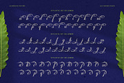 Flowmery Typeface, a Script Font by alit design (Thumbnail 13 of 15)