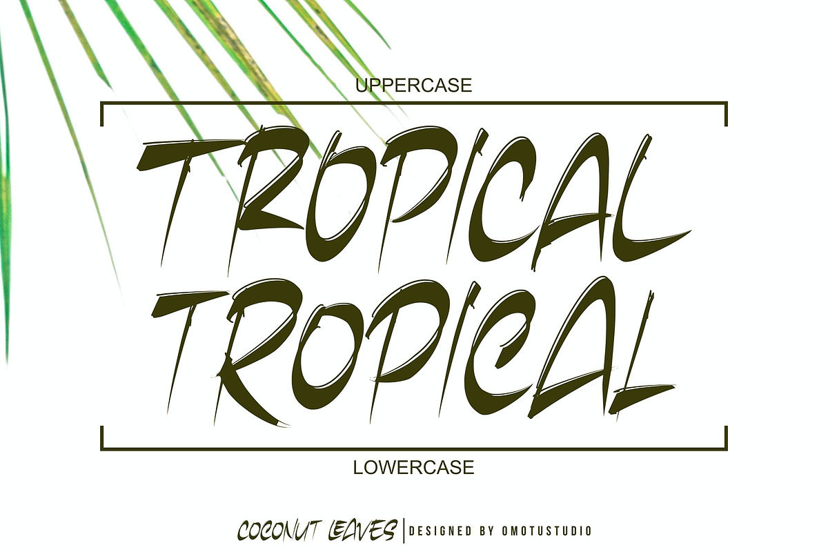 Coconut Leaves, a Handwritten Font by Omotu Studio (Photo 7 of 10)