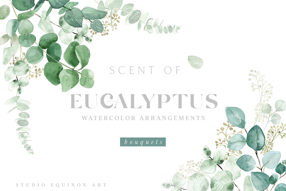 Scent of Eucalyptus - Graphic Set, an Illustration by studioequinox (Photo 3 of 21)
