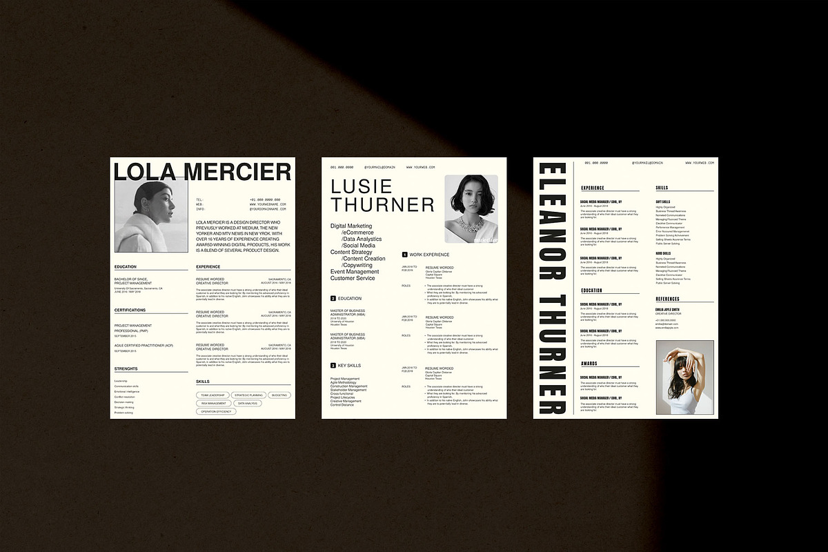 Resume Kit, a Resume Template by UX-group (Photo 7 of 9)