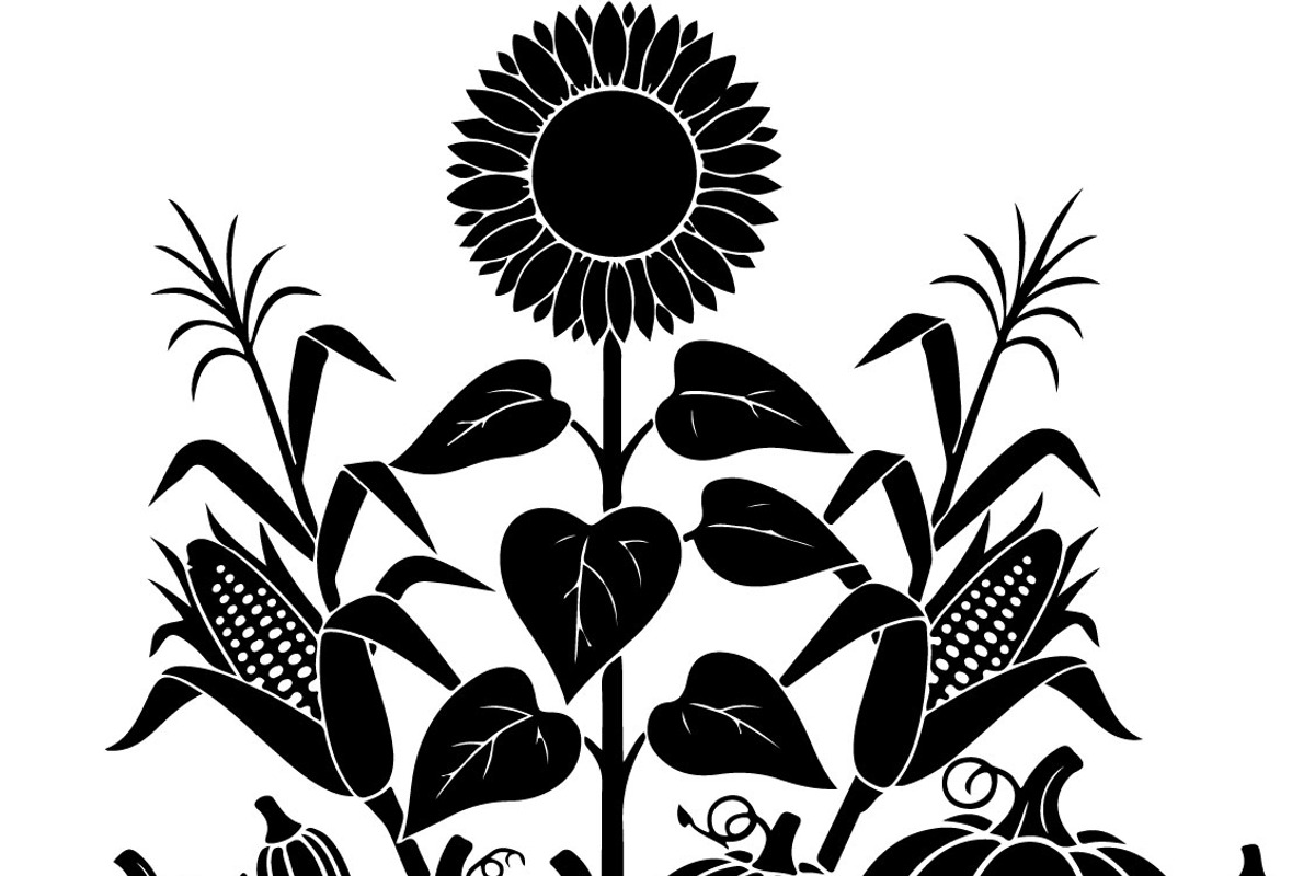 Thanksgiving Harvest Silhouette, an Illustration by Creativeshirt (Photo 41 of 51)