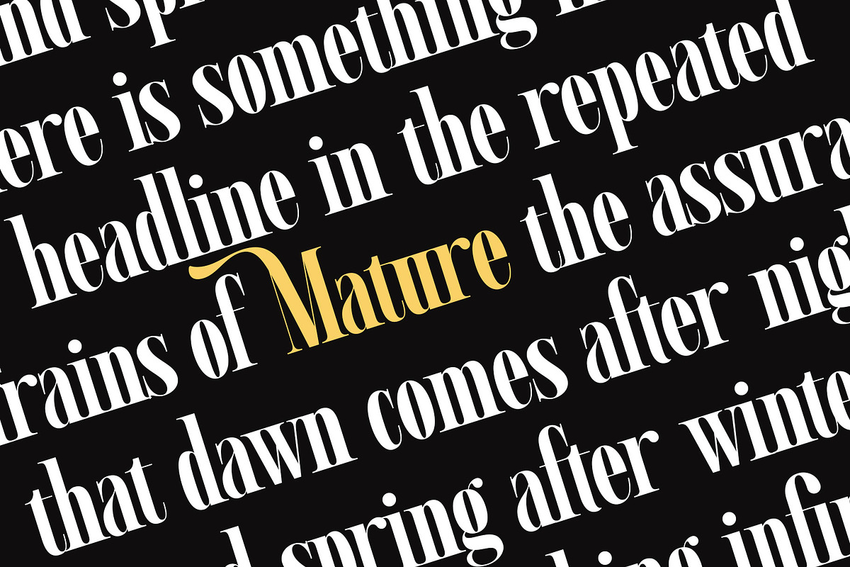 Ramond - Condensed Serif, a Serif Font by Novitype (Photo 13 of 14)