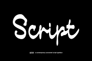 Messy Wins Alt - Bold Script Font, a Script Font by Typeparties (Thumbnail 13 of 13)